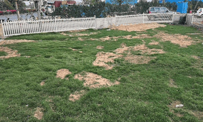 Project Image of 1275.88 - 1613.21 Sq.ft Residential Plot Plot for buy in Hemis One