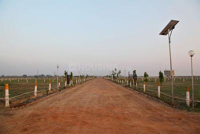 Project Image of 13608.0 - 36288.0 Sq.ft Residential Plot Plot for buy in Ecnon Sports Land