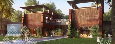 Project Images