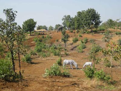 Project Image of 0.0 - 2200.0 Sq.ft Residential Plot Plot for buy in Disha Wellness City