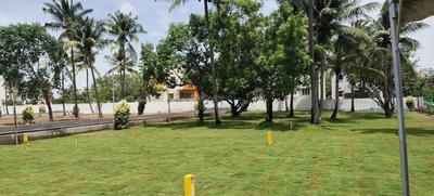 Galaxy Ocean Spring Landscape Garden and Tree Planting 2