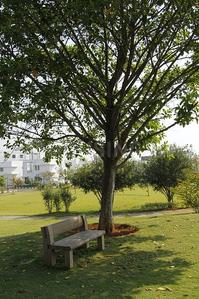 Project Image of 2600.0 - 4200.0 Sq.ft 3 BHK Villa for buy in Ashoka A La Maison Annexe