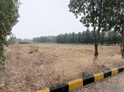 Project Image of 1323.0 - 2997.0 Sq.ft Residential Plot Plot for buy in Abhiram Nature View City