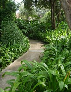 Project Image of 0.0 - 2227.0 Sq.ft 4 BHK Villa for buy in Rio A Cappella