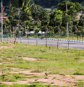 Project Image of 0.0 - 1200.0 Sq.ft Residential Plot Plot for buy in Ashwasurya AR Beryle