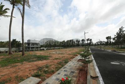 Project Image of 1200.0 - 2400.0 Sq.ft Residential Plot Plot for buy in Millennia Montagna