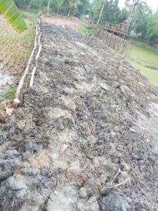 Project Image of 1080.0 - 2160.0 Sq.ft Residential Plot Plot for buy in Bhupati Amgachia Abasan