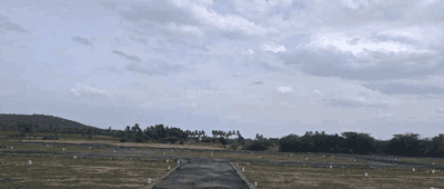 Project Images
