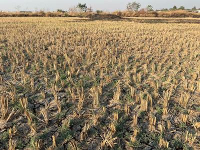 Project Image of 1000.0 - 10000.0 Sq.ft Residential Plot Plot for buy in Plots In Belondekhar