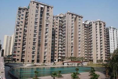 Project Image of 950.0 - 2300.0 Sq.ft 2 BHK Apartment for buy in Amrapali Zodiac