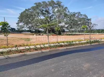 Project Image of 12917.0 - 25833.0 Sq.ft Residential Plot Plot for buy in KNS Neoliva