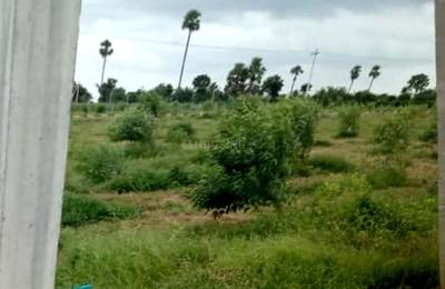 Project Image of 1080.0 - 8010.0 Sq.ft Residential Plot Plot for buy in SRR Gachibowli Paradise Phase 5