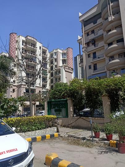 Express Green - Image 4