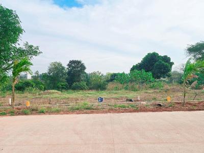 Project Image of 1163.0 - 1528.0 Sq.ft Residential Plot Plot for buy in Shoba Shama Enclave