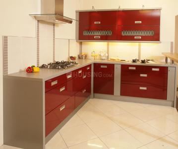 Project Image of 229.0 - 466.0 Sq.ft 1 BHK Apartment for buy in Shreeji Maple