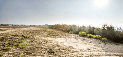Project Image of 4248.0 - 39321.0 Sq.ft Residential Plot Plot for buy in Radiance Marina