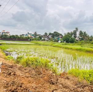 Project Image of 1000.0 - 10000.0 Sq.ft Residential Plot Plot for buy in Cityprop Plots In Chirle