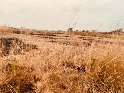 Project Image of 1000.0 - 10000.0 Sq.ft Residential Plot Plot for buy in Cityprop Plots In Ranjanpada