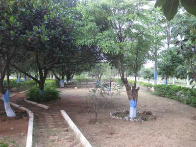 Project Image of 1215.0 - 2430.0 Sq.ft Residential Plot Plot for buy in Vasundhara Lorvens Gold Leaf