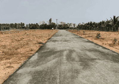 Project Images