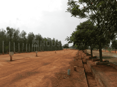 Project Images