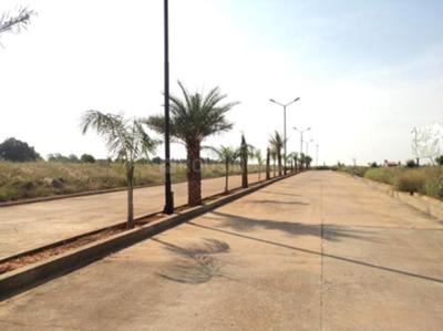 Confident Canopus 1 Images for Elevation of Confident Canopus 1 1