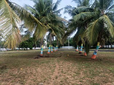 Project Image of 1200.0 - 2254.0 Sq.ft Residential Plot Plot for buy in Sudhagars Residencies
