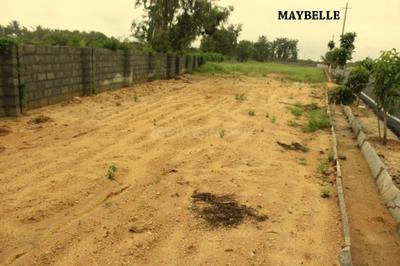 Project Image of 813.0 - 3810.0 Sq.ft Residential Plot Plot for buy in Sizzle Maybelle Block 2