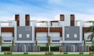 Project Images