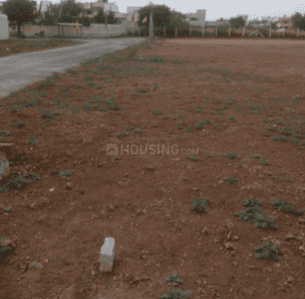 Project Images