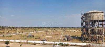 True Fortune Elevation 1