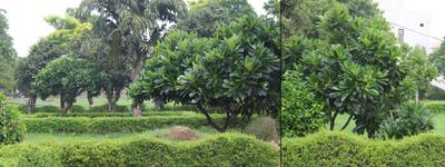 Project Image of 827.96 - 4355.94 Sq.ft Residential Plot Plot for buy in Narsi Vihar City