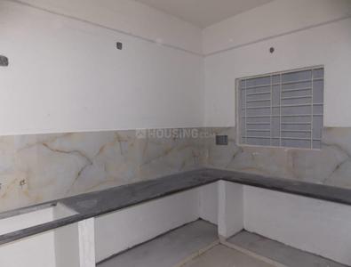 Project Images