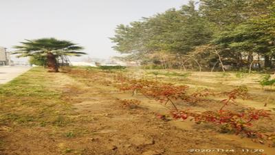 Project Image of 810.0 - 2250.0 Sq.ft Residential Plot Plot for buy in Hero Alaknanda Plots