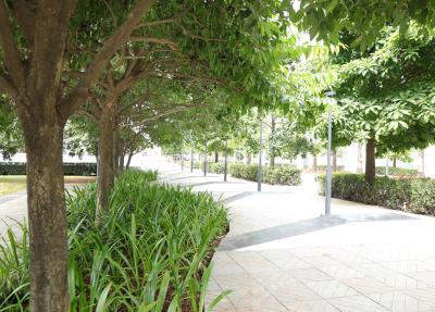 Project Image of 735.5 - 971.66 Sq.ft 2 BHK Apartment for buy in Kolte Patil Little Earth Kiwale Building C13