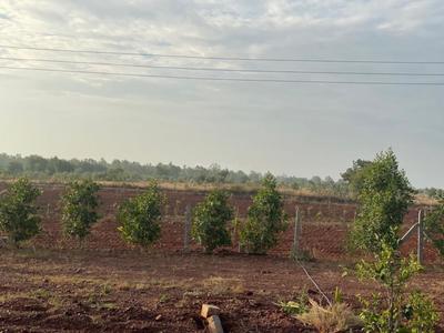 Project Image of 1089.0 - 5445.0 Sq.ft Residential Plot Plot for buy in V Navya Greens