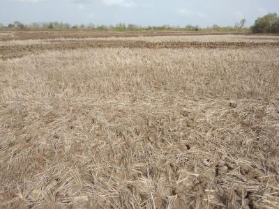 Project Image of 1000.0 - 10000.0 Sq.ft Residential Plot Plot for buy in AJ LAND IN VINDHANE THIRD MAHA MUMBAI