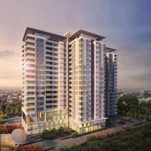 TVH Quadrant Images for Elevation of TVH Quadrant 2