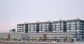 Murtuza Golden Leaf Elevation 1