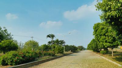 Project Image of 4500.0 - 18000.0 Sq.ft Residential Plot Plot for buy in Samruddhi Manikya Meadows Farm Plots