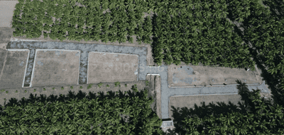 Project Images