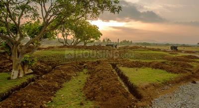 Project Image of 1200.0 - 5000.0 Sq.ft Residential Plot Plot for buy in Concorde Opus One