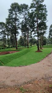 Project Image of 5500.0 - 11000.0 Sq.ft Residential Plot Plot for buy in Lost In The Woods