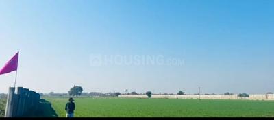 Project Image of 1000.0 - 4000.0 Sq.ft Residential Plot Plot for buy in Best Super Corridor Project By Omexa