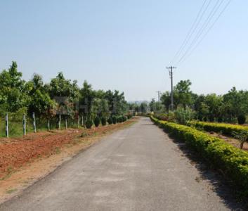 Project Image of 899.97 - 7199.98 Sq.ft Residential Plot Plot for buy in Sai Satya Golden City