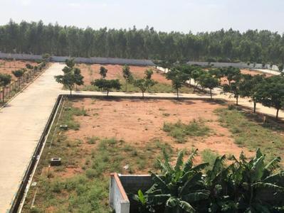 Project Image of 450.0 - 700.0 Sq.ft Residential Plot Plot for buy in Oraiyan Moon Park