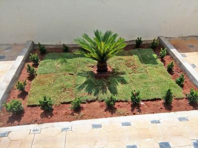 Project Images