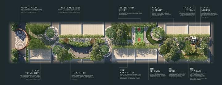 Gallery Cover Pic of August Silver Moon