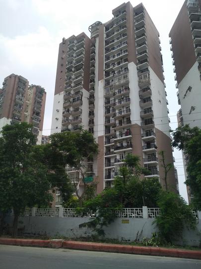 Gardenia AIMS MAX Gardenia Glory - Image 4