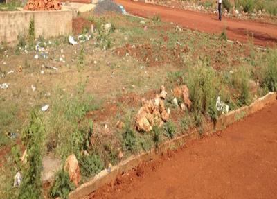 Project Image of 1200.0 - 2400.0 Sq.ft Residential Plot Plot for buy in Yesh Sai Layout